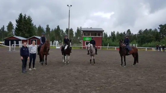 NIU i Vännäs