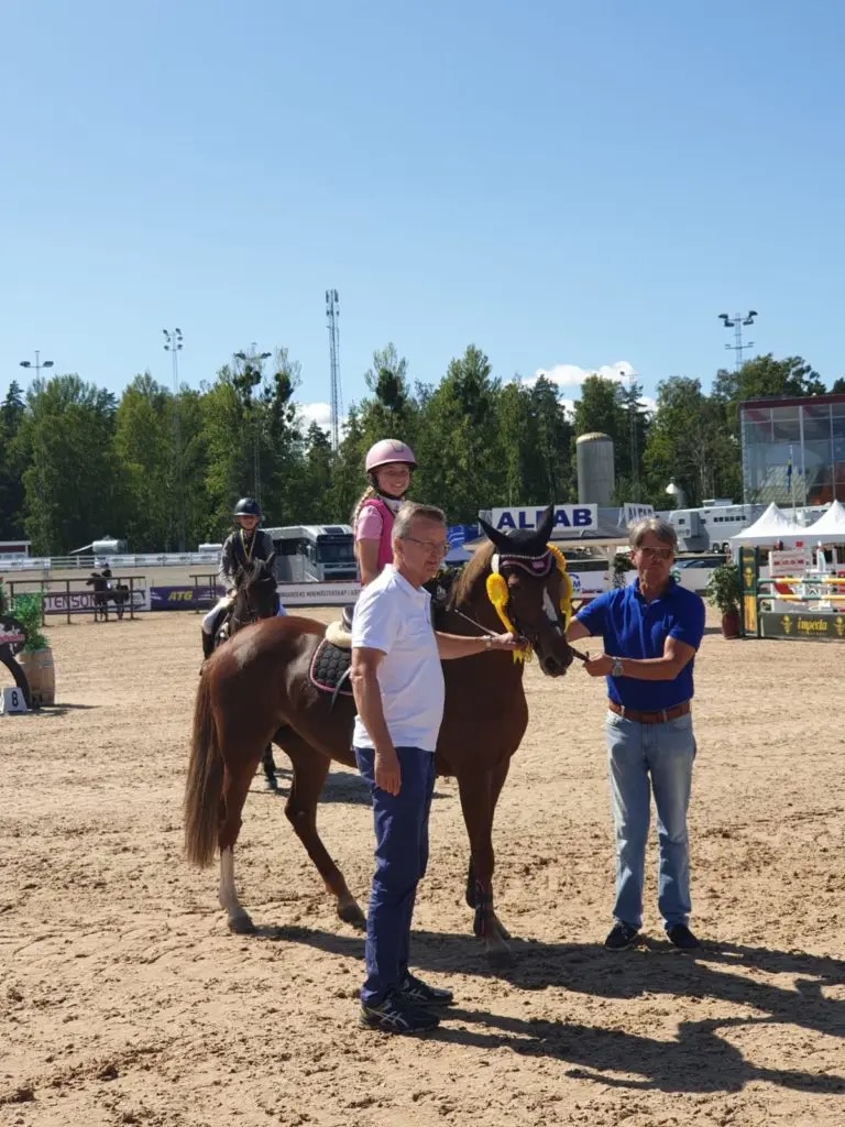 Tankar från SM i inverkansridning